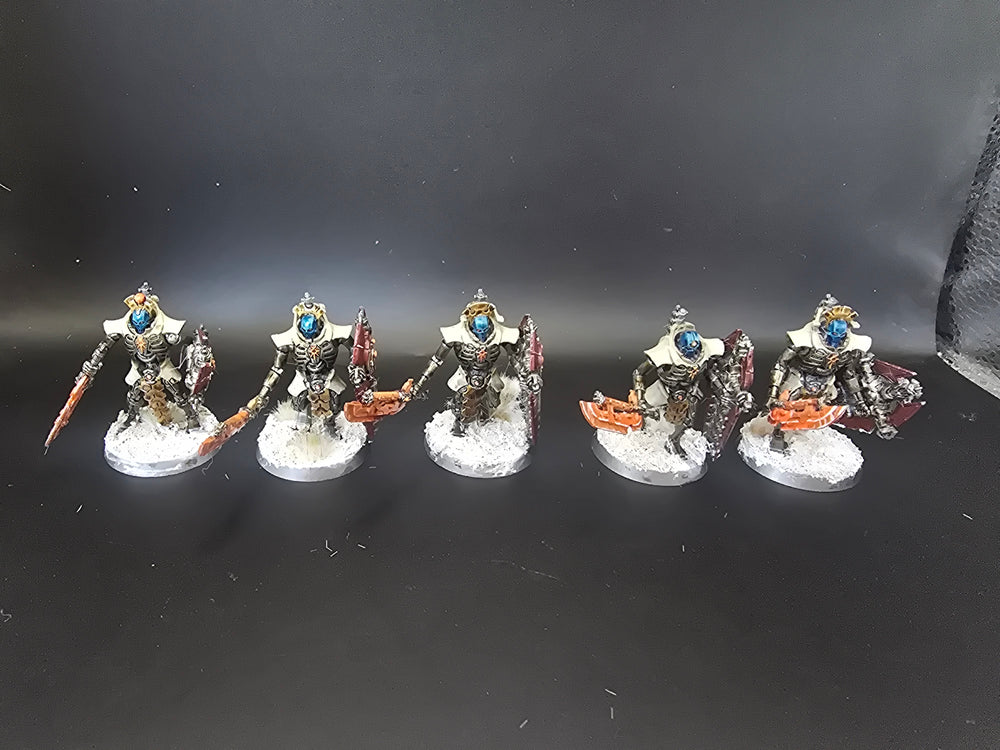 UM 1779 Necrons lychguard