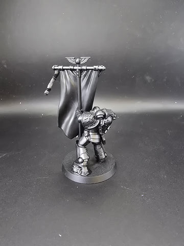 UM 876 Space Marines Primaris Ancient