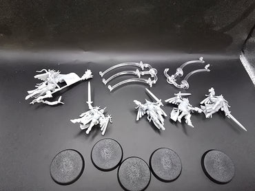 UM 1210 Adepta Sororitas Seraphim Squad