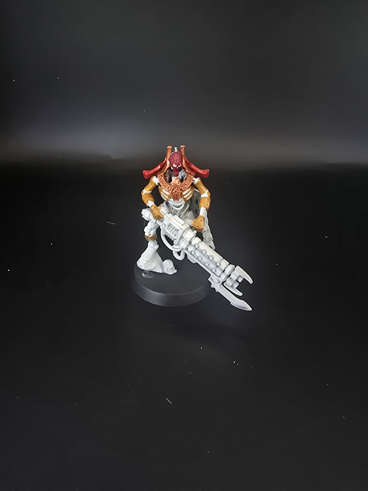 UM 1863 Necrons royal warden