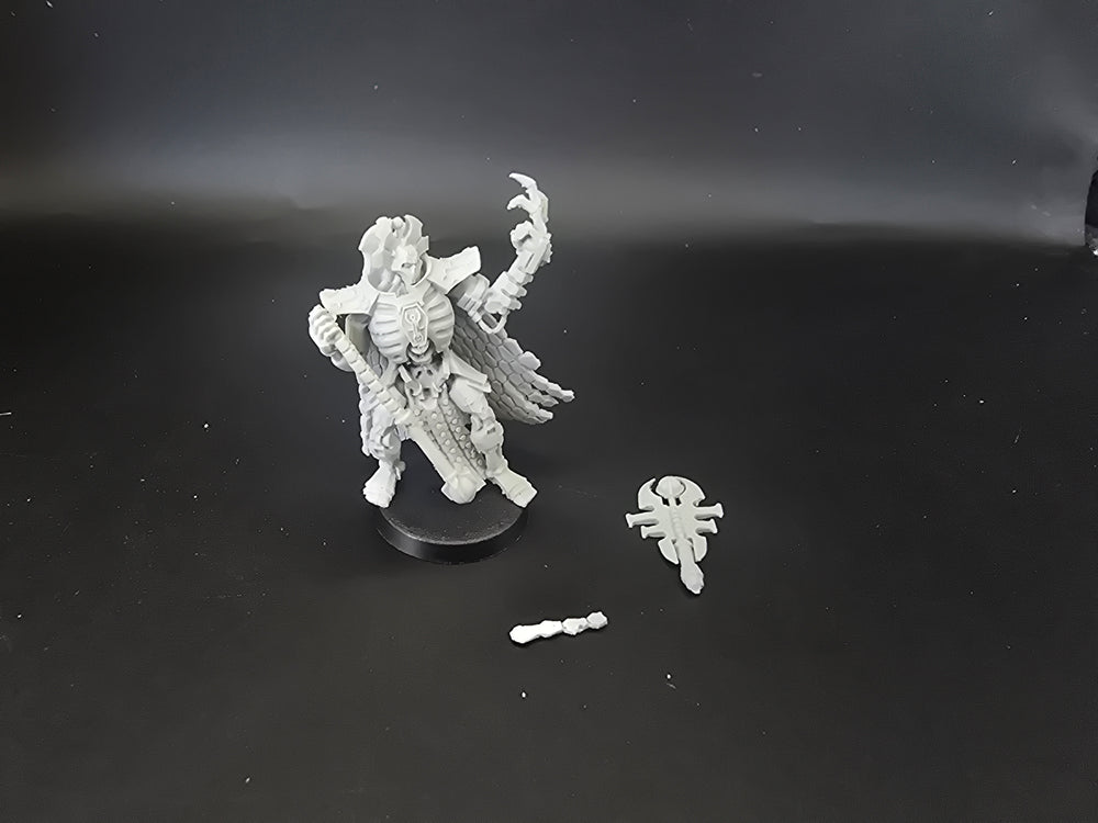 UM 1876 Necrons oberyn