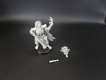 UM 1876 Necrons oberyn