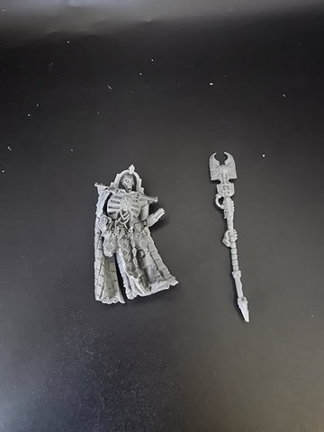 UM 1873 Necrons Plasmancer