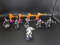 UM 1321 T'au Empire Kroot Carnivore Squad