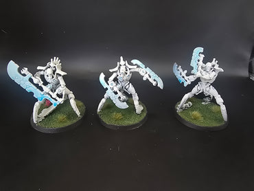 UM 1796 Necrons Skorpekh Destroyers