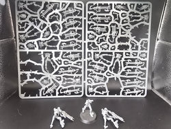 UM 1817 Necrons Necron Warriors