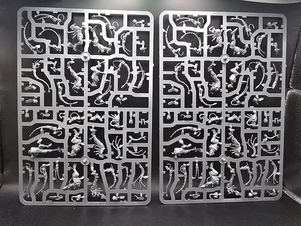 UM 1258 Adepta Sororitas Neophyte Hybrids