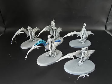 UM 1198 Hedonites Of Slaanesh seekers of slaanesh