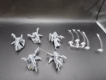 UM 1213 Adepta Sororitas Seraphim Squad