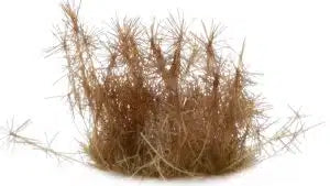 Spikey Brown