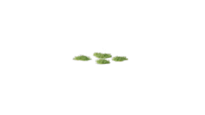 Tiny Green