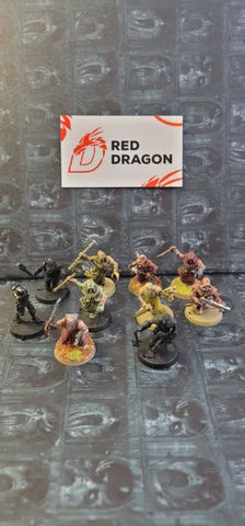 UM	538	Chaos Cultists Proxy